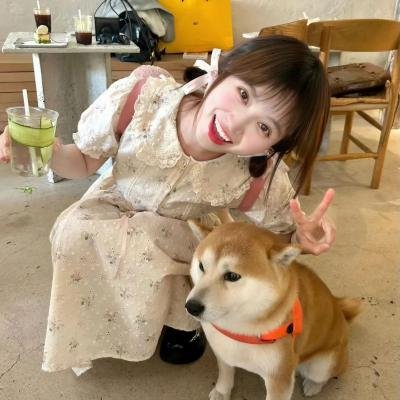 出轨鸳鸯